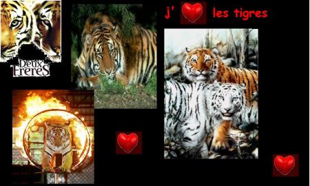 Mon animal préféré!!
