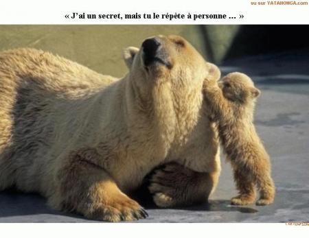 ours